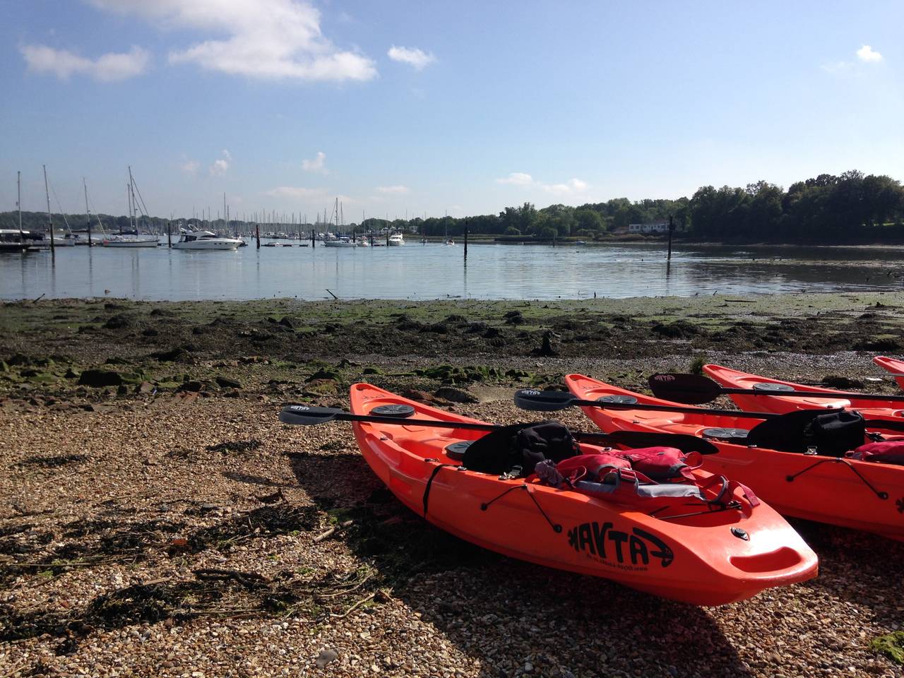 Ready to launch at Swanwick
